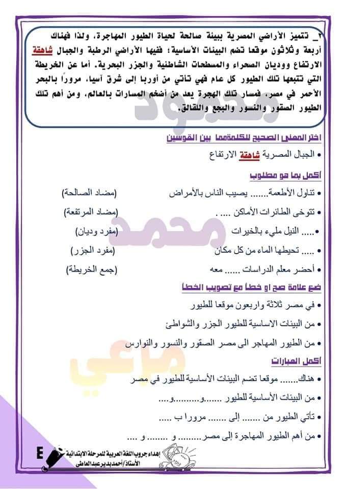 FB_IMG_1635107048063
