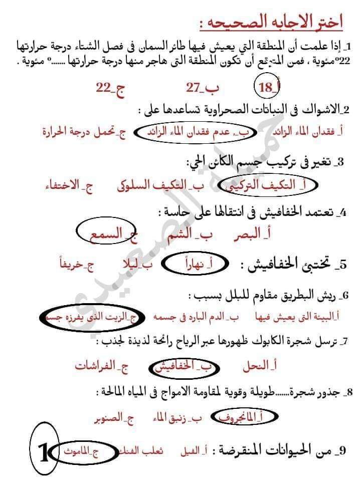 FB_IMG_1635465975154