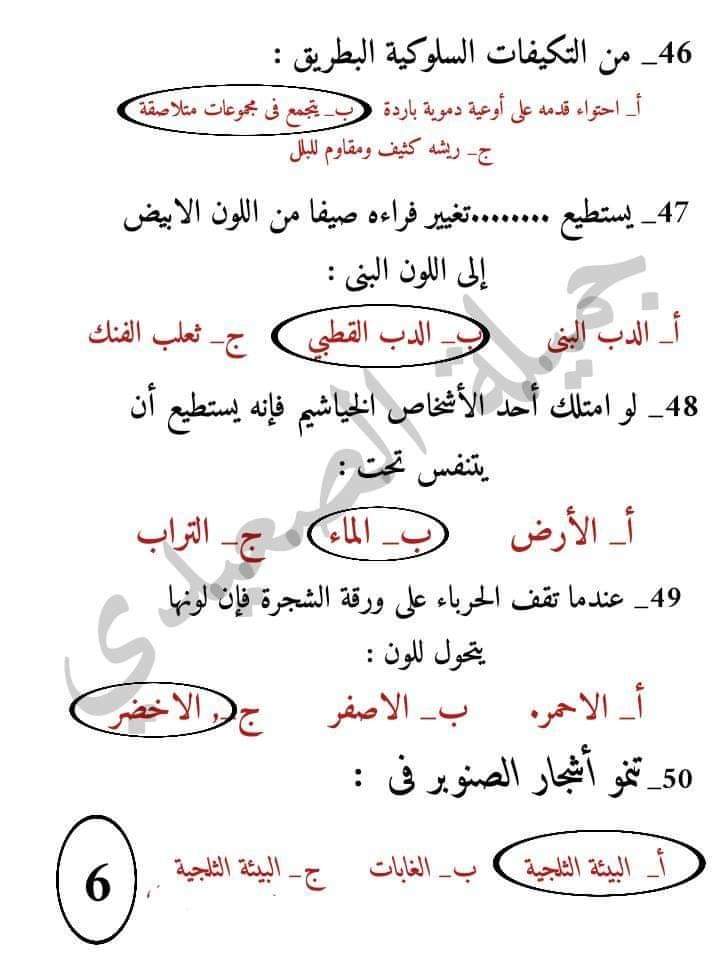 FB_IMG_1635465987974