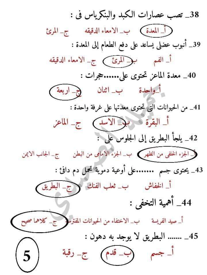 FB_IMG_1635465985942