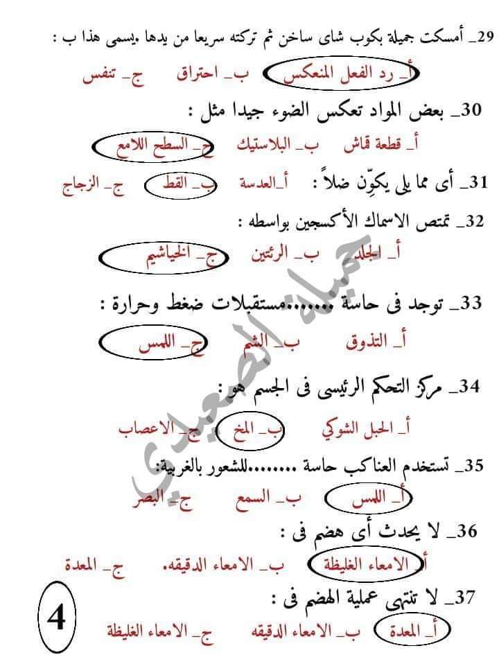 FB_IMG_1635465983870